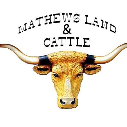 Mathews Land & Cattle longhorn logo